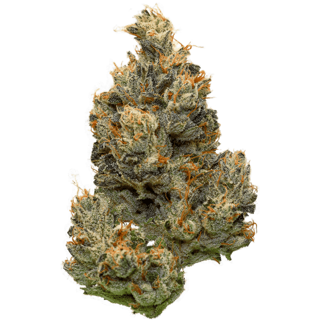 Photograph of product: D. Funk master | 3.5g