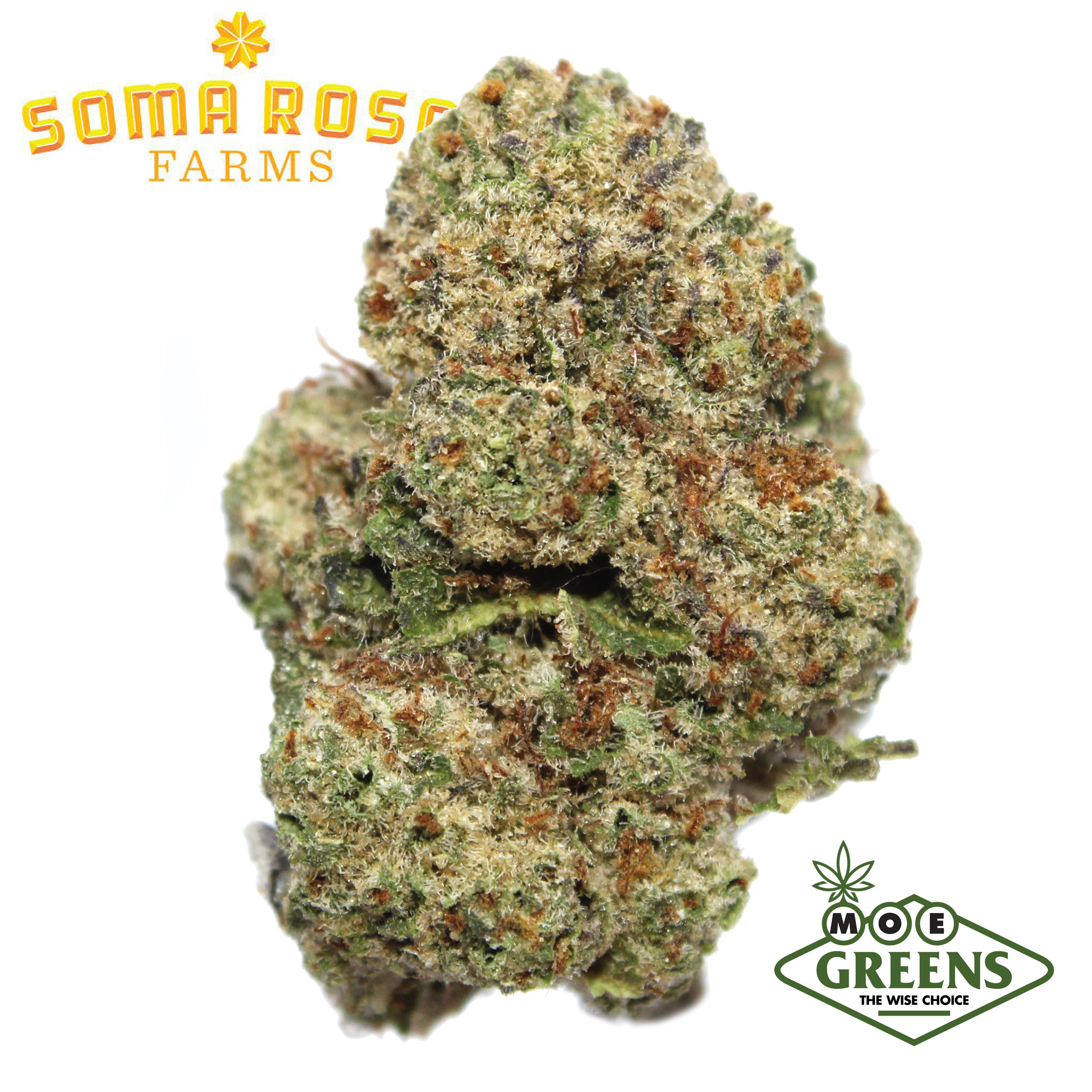 Photograph of product: ILLEMONATI