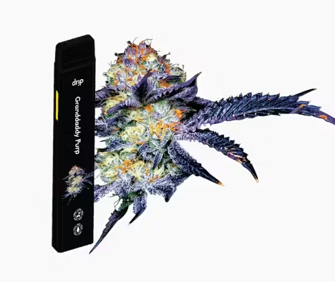 Photograph of product: Granddaddy Purp | Disposable | Drip
