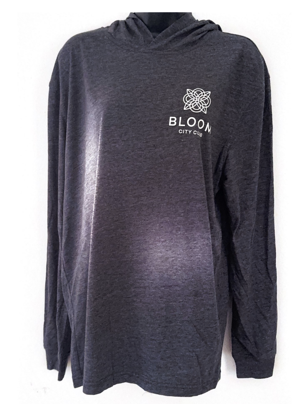 Photograph of product: Apparel | Goddess T-Shirt Hoodie | Heather Gray | XL | Bloom Brand