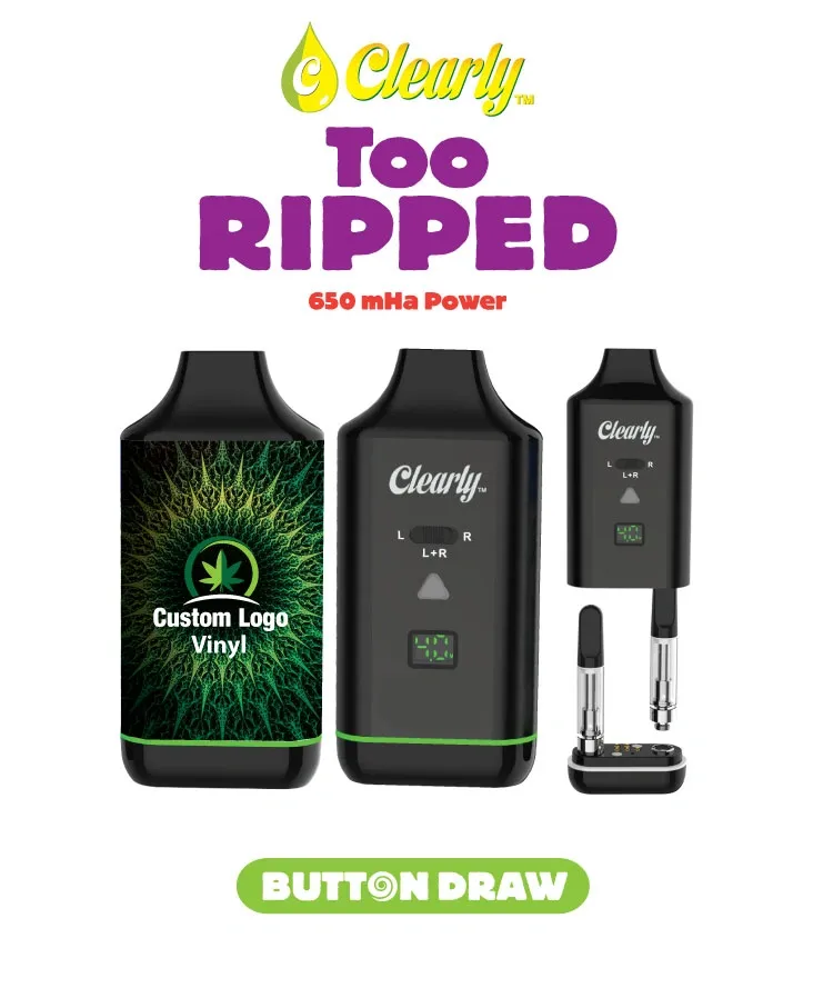 Photograph of product: Clearly Spin Lux Battery too ripped