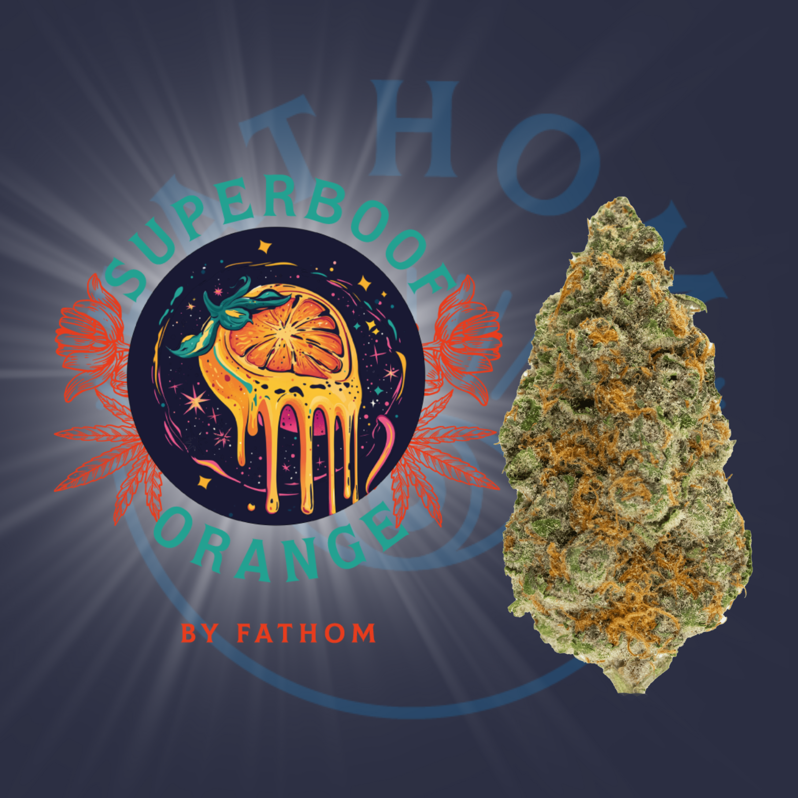 Photograph of product: Fathom Oui'd | Superboof Orange PopCorn Flower | 3.5g