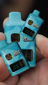 Photograph of product: BB: Big Cloud Live SFV