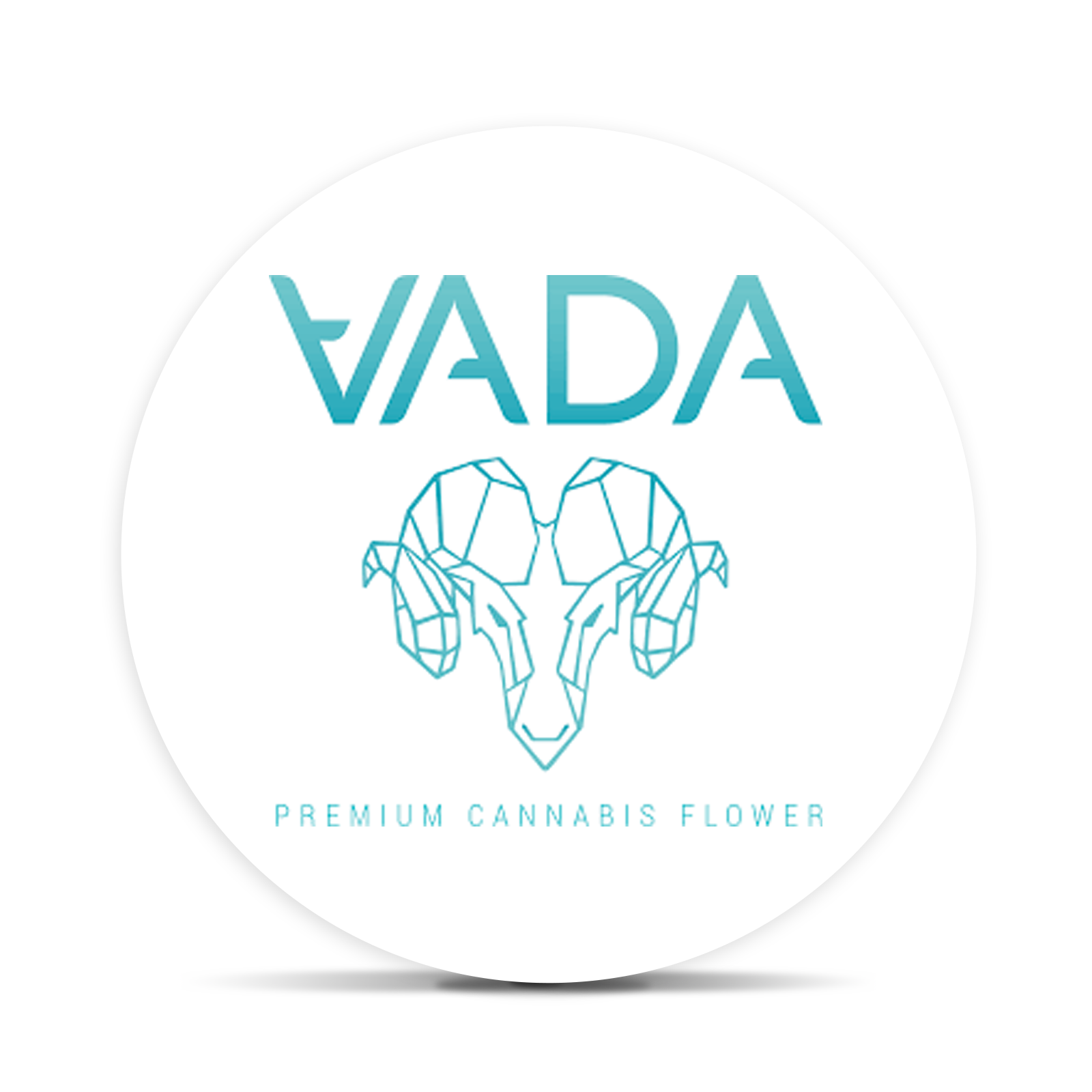 Logo for img-fluid: Vada