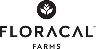 Photograph of product: FLORACAL - Flower - Cold Stone OG - 3.5G