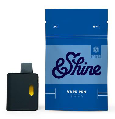 Photograph of product: Blueberry All-In-One Vape 2g