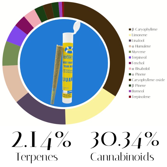 Photograph of product: Roman Candle by Buoyant Bob | Pre-Rolls | 1.0g