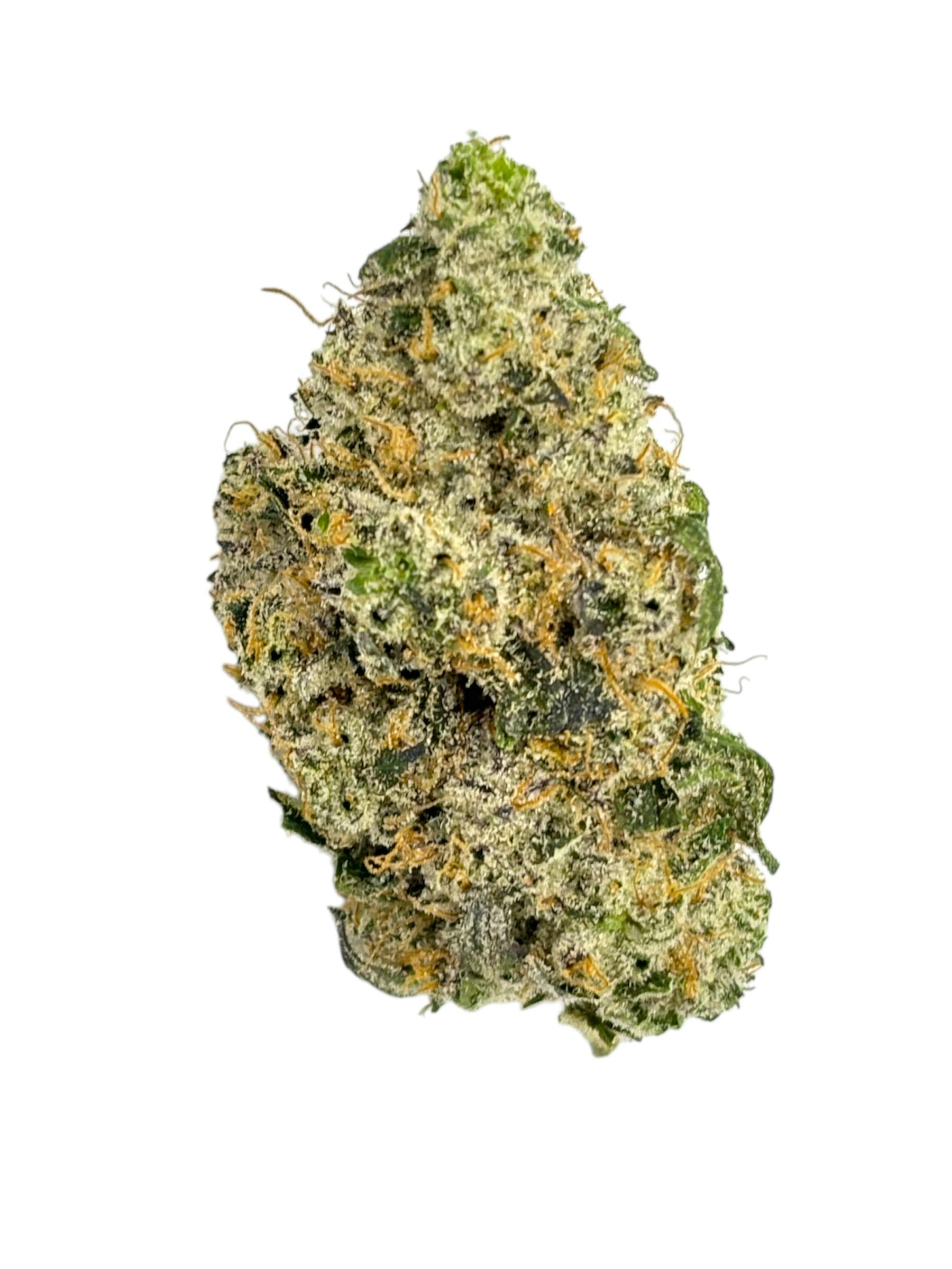 Photograph of Product: Miami Mango - 8th - GG4 - 3.5g