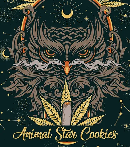 Photograph of product: Animal Star Cookies - Deli - 3.5g