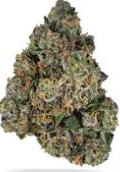 Photograph of product: Gold Shelf - Sherbanger (H) - 28g