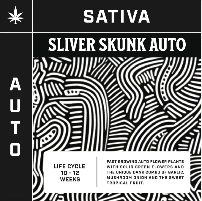 Photograph of product: Supernaturals | Silver Skunk (Auto) | Feminized Seeds 5pk