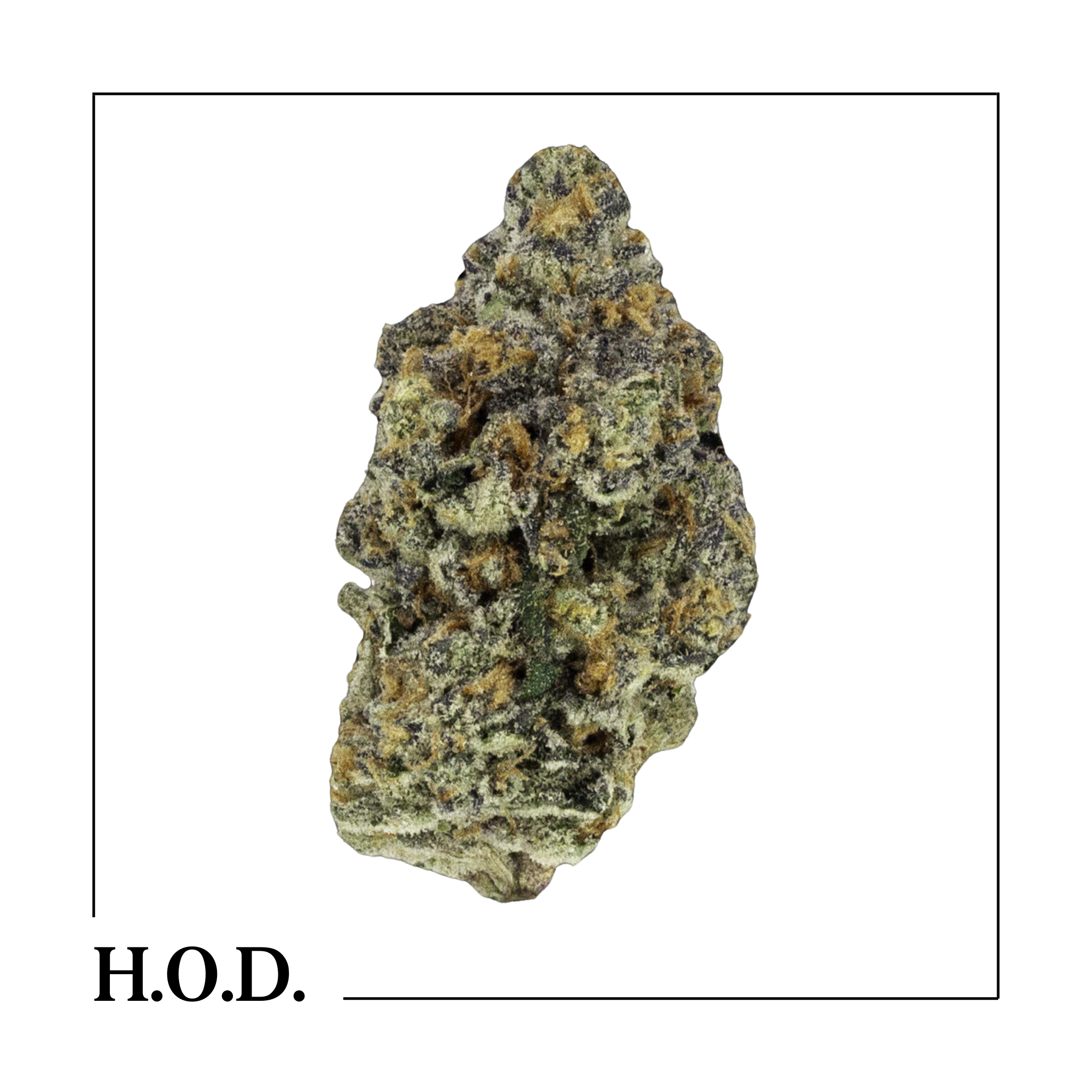 Photograph of product: Hytek Flawlezz - 1g