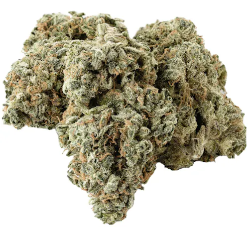 Photograph of product: Voyage Bloom Wild Berry Slurmz Prepack Rec - 3.5g