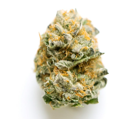 Photograph of product: RYTHM - BANANACONDA (28G) (H)
