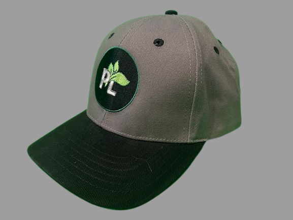 Photograph of product: PL | "PL" | Baseball Hat | Gray | 1