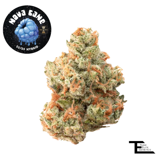 Photograph of product: NOVA CANE - 3.5G