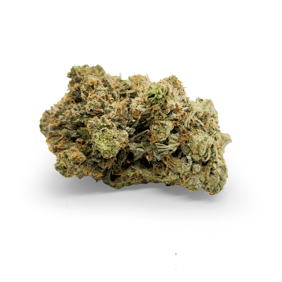 Photograph of product: Flower | Lot Lizard - 3.5g