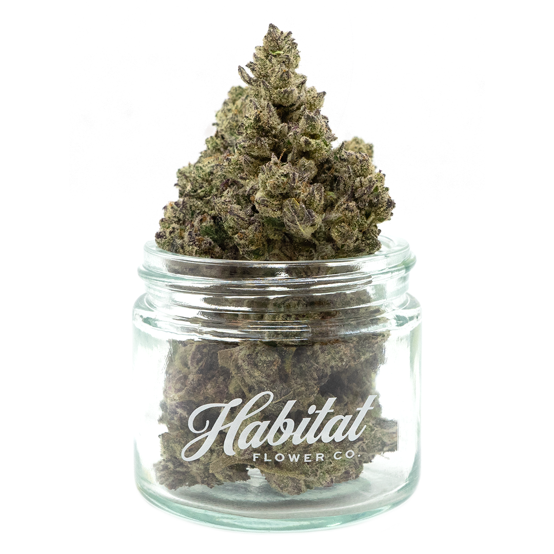 Photograph of Product: Wimbledon - (DOH) - 3.5g