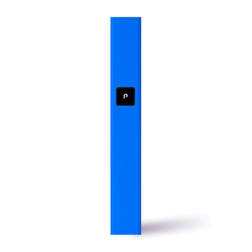Photograph of product: Play Battery Kit | Blue Steel | Battery | PlugPlay
