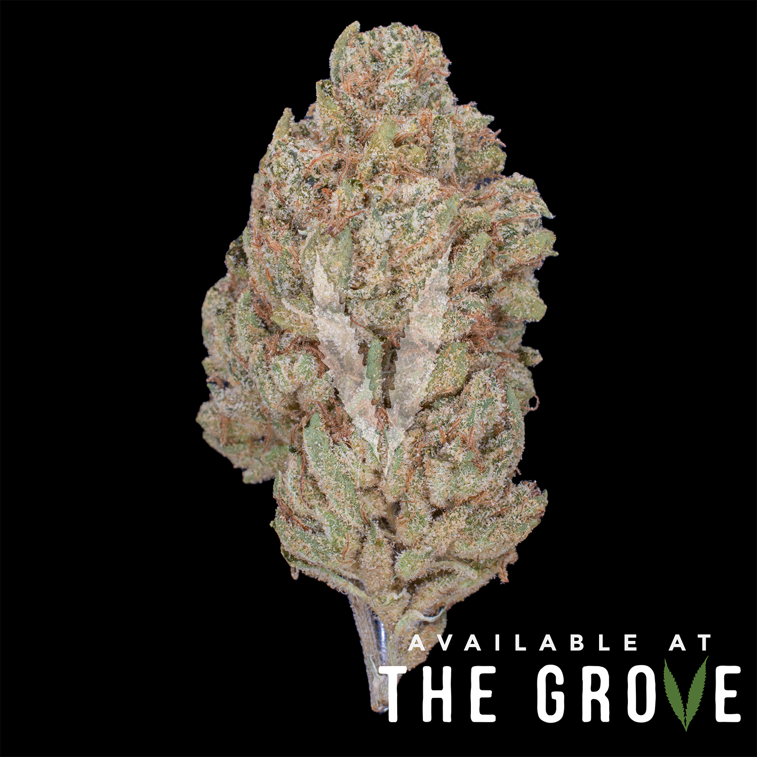 Photograph of product: BLEM | Tangie Ting 1/8th - 3.5g