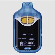 Photograph of product: Blue Matcha/Maui Wowie Disposable BOUTIQ