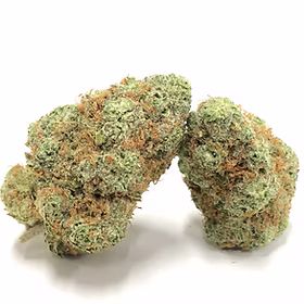 Photograph of product: Bold Cultivation Cindy 99 3.5g Oui'd Flower