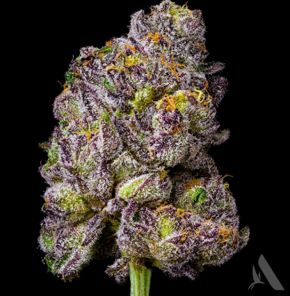 Photograph of product: Permanent Marker 3.5g Flower (I) 00442