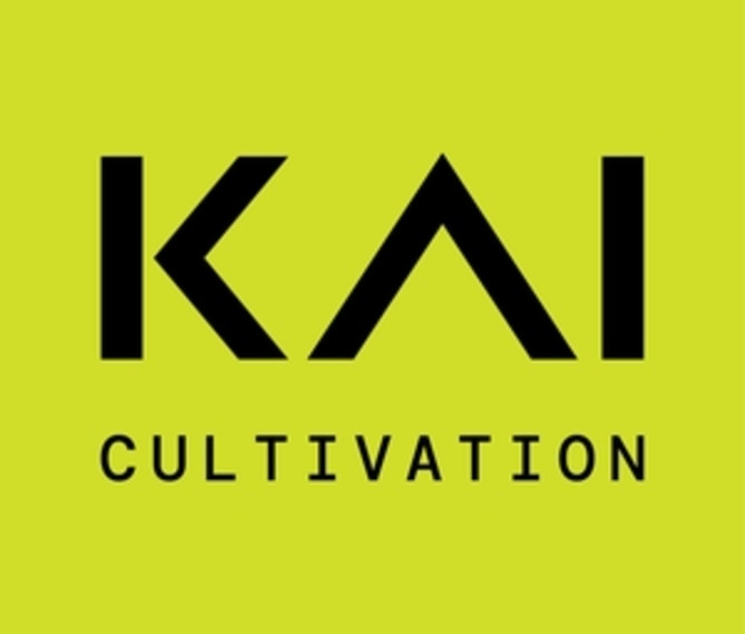 Photograph of product: KAI Oui'd Co. | Solar Flare Infused Pre-Roll