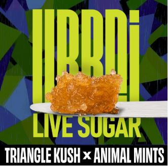Photograph of product: Triangle Kush x Animal Mints Live Sugar