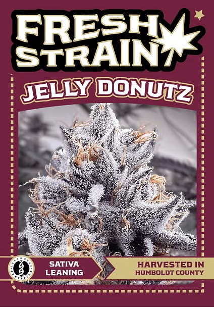 Photograph of product: Jelly Donutz (Indoor Flower) - 5g - 