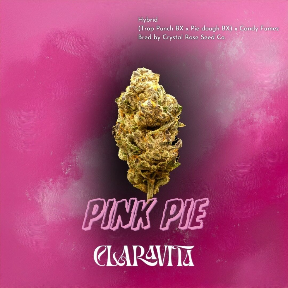 Photograph of product: Pink Pie - 3.5g