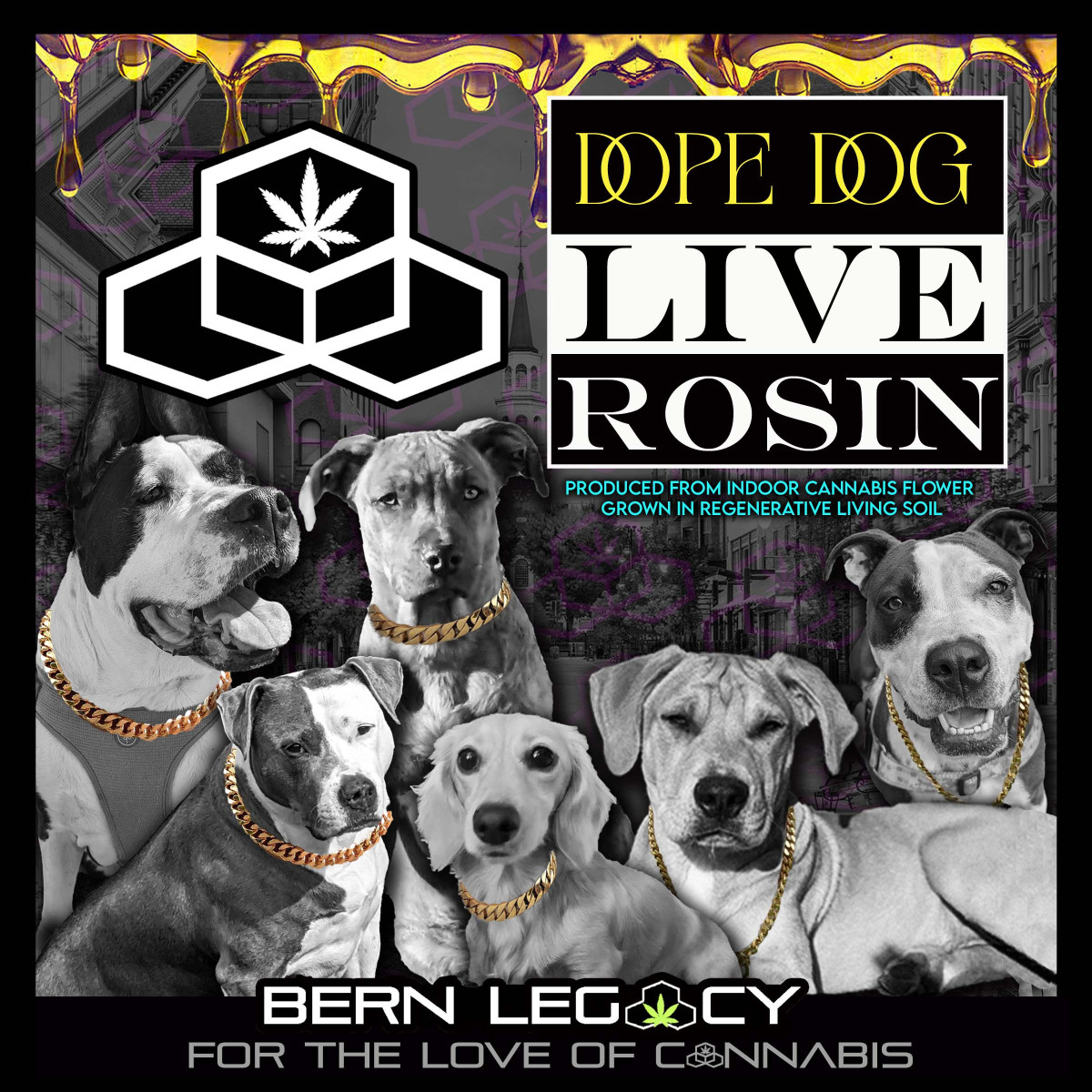 Photograph of product: Live Rosin: Dope Dog