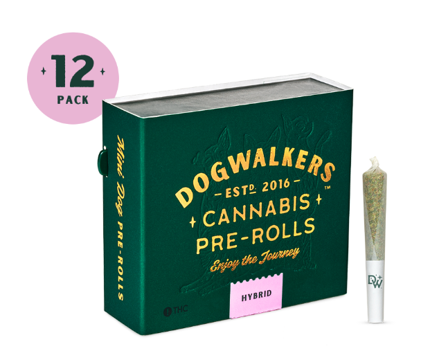 Photograph of product: *STAY* - Afternoon Delight - Hybrid - | 4.2g [12x0.3g] | Pre-Roll 12pk