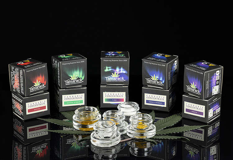 Photograph of product: LIVE SUGAR - Cuban Black Haze