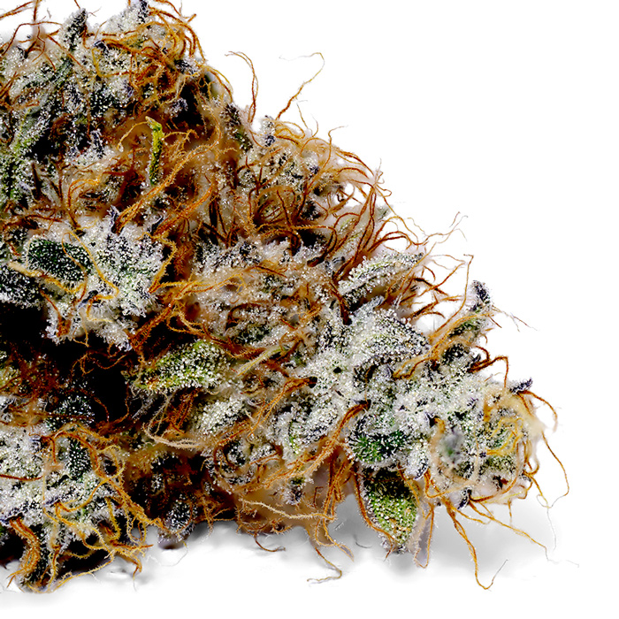 Photograph of product: Spitfire OG - 28g