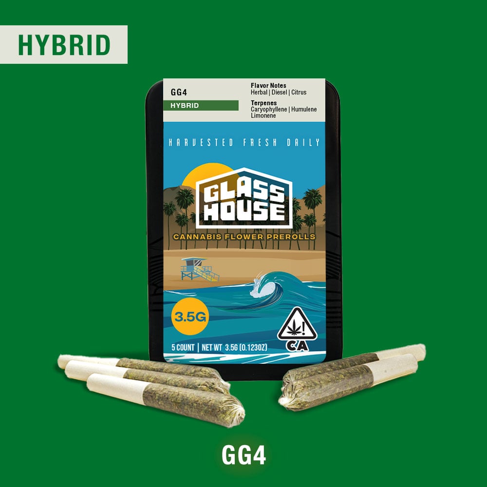 Photograph of product: Gg4 5 Pack