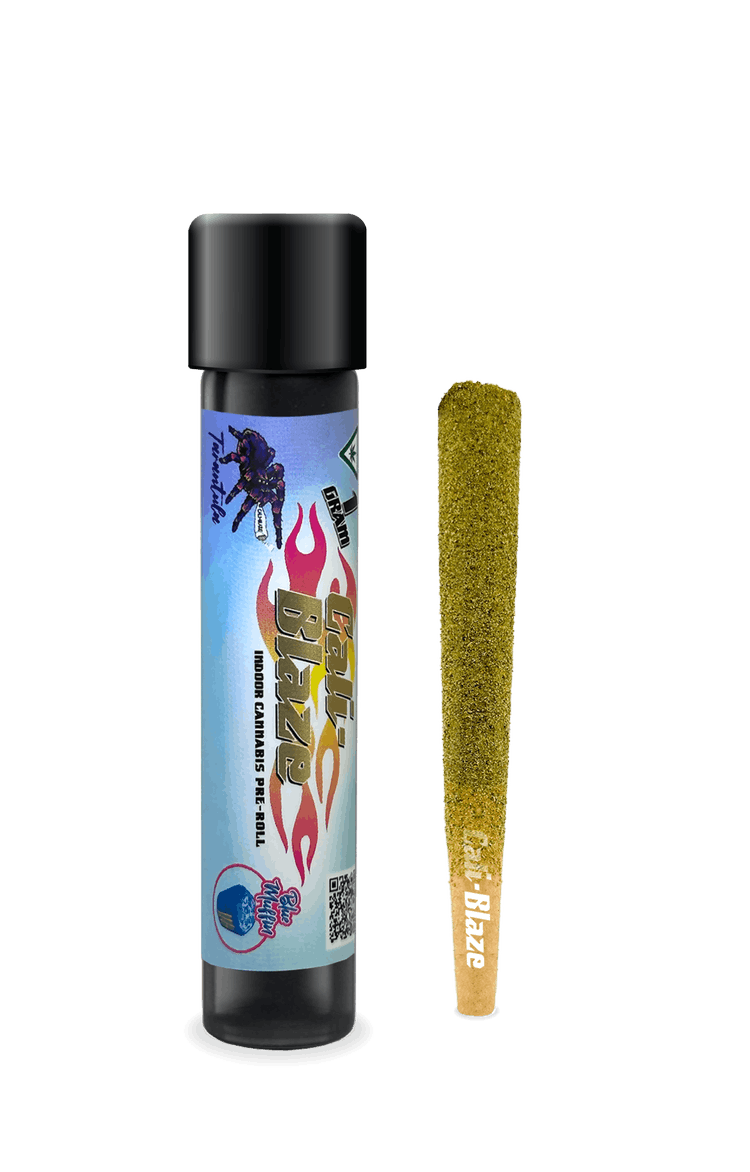 Photograph of product: Cali Blaze - Blue Muffin Tarantula - 1g Infused Pre-Roll