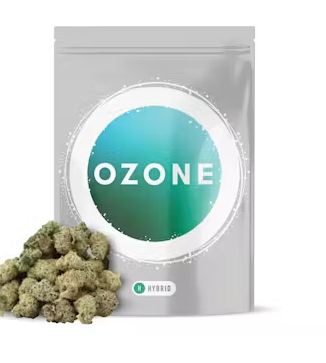 Photograph of product: Ozone | Fruit Jester | 7g