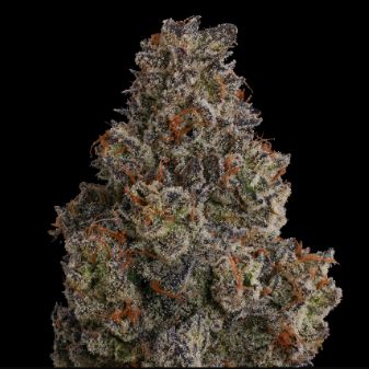 Photograph of product: KRONUTS SMALLS QUARTER (7 GRAMS)