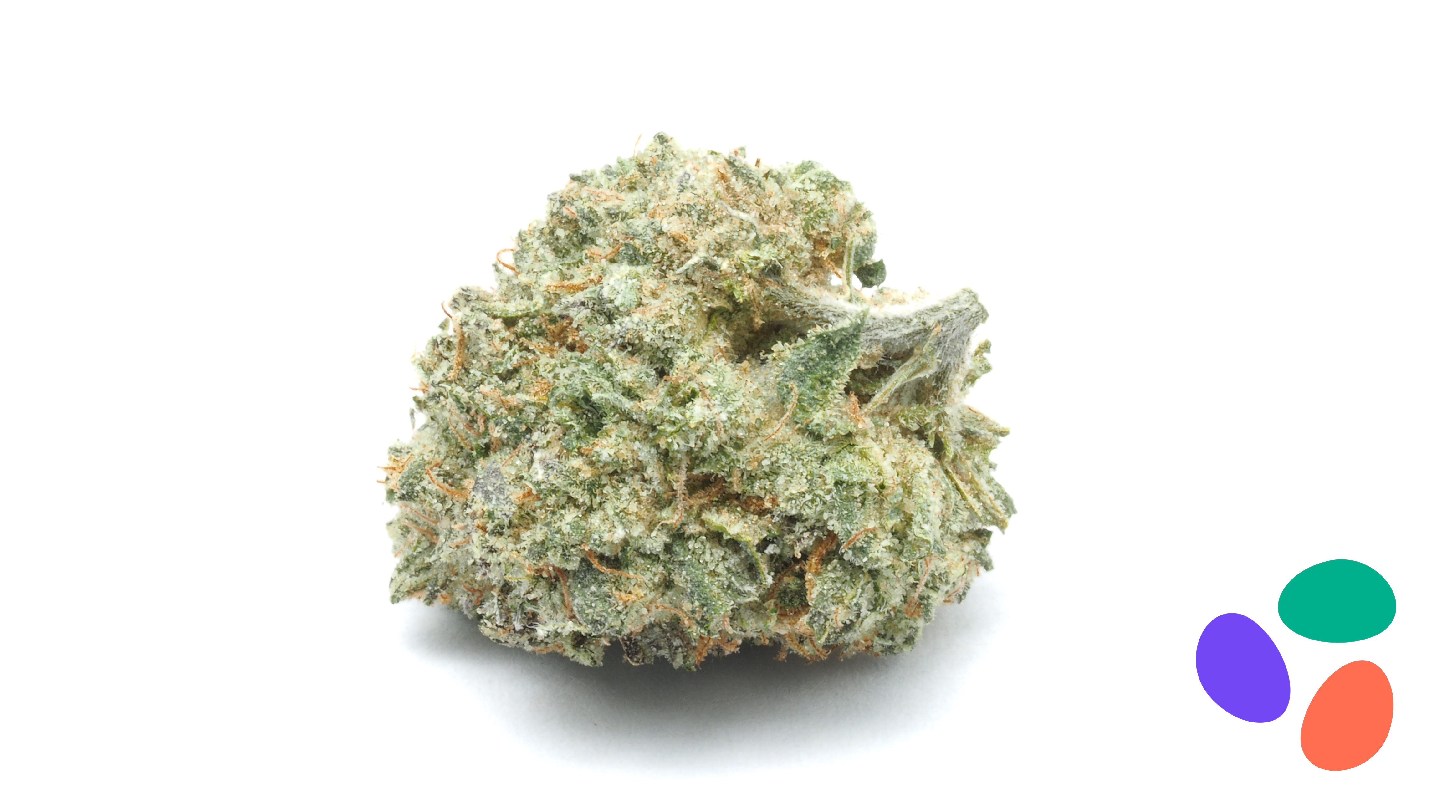 Photograph of product: GELATO 33 EIGHTH