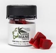 Photograph of product: Lion's Mane - Gummies - Elderberry (S) - 100mg