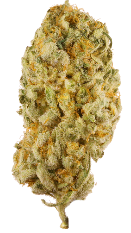 Photograph of product: Platinum Shelf - Jack Herer (S) - 28g
