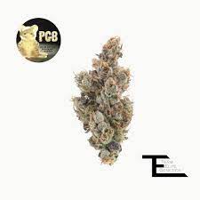 Photograph of product: TEAM ELITE GENETICS - TEG - - PGB - 3.5g
