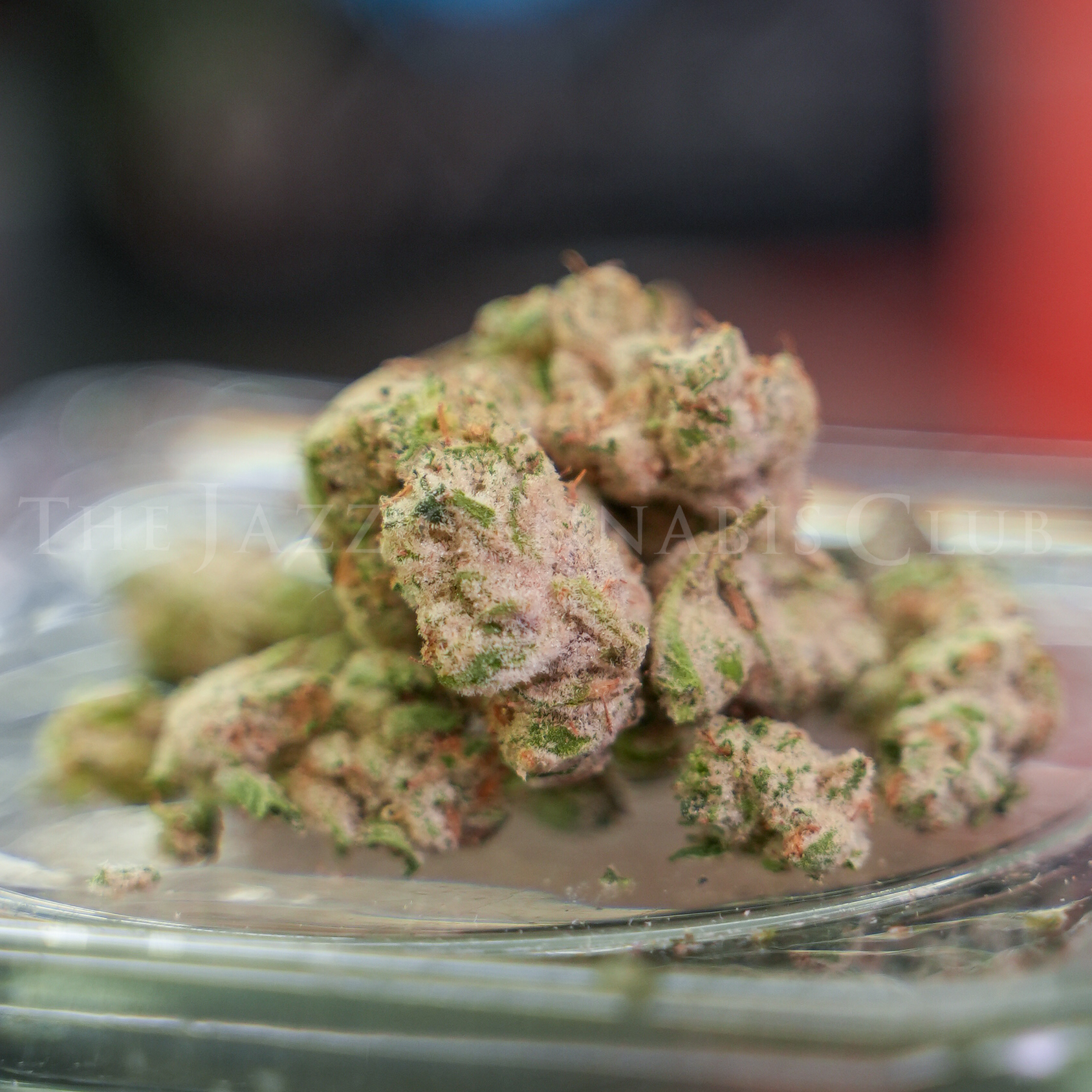 Photograph of product: Apex- Iced Kush Pre Packed - 3.5g