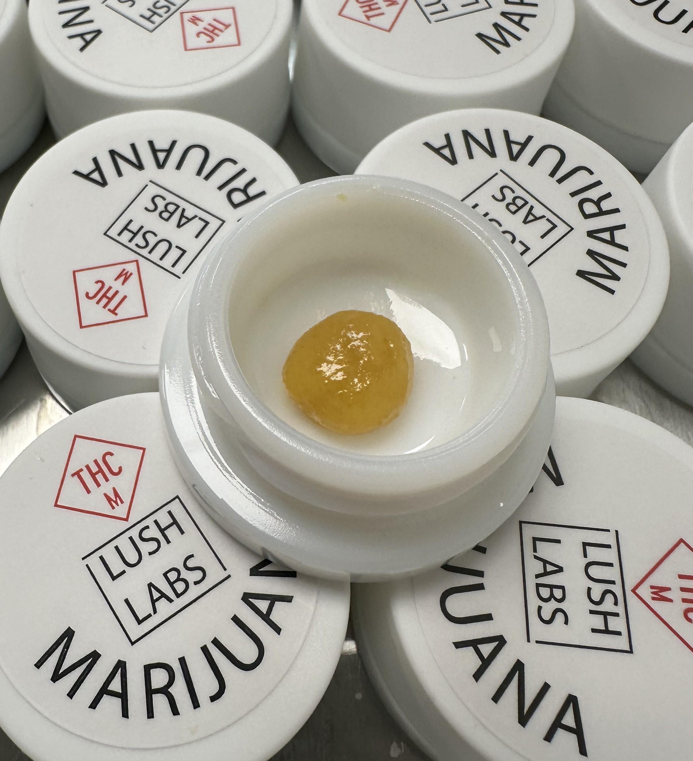 Photograph of product: Everything Bagel - Live Resin Badder