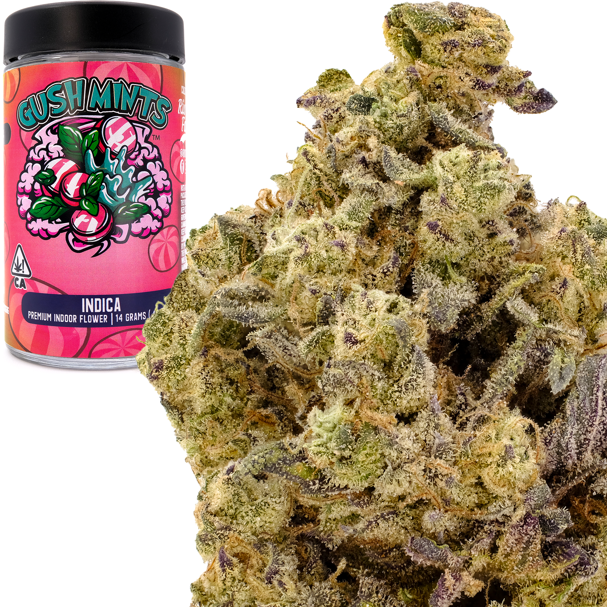 Photograph of product: Gush Mints 14g Jar - Rio Vista Farms