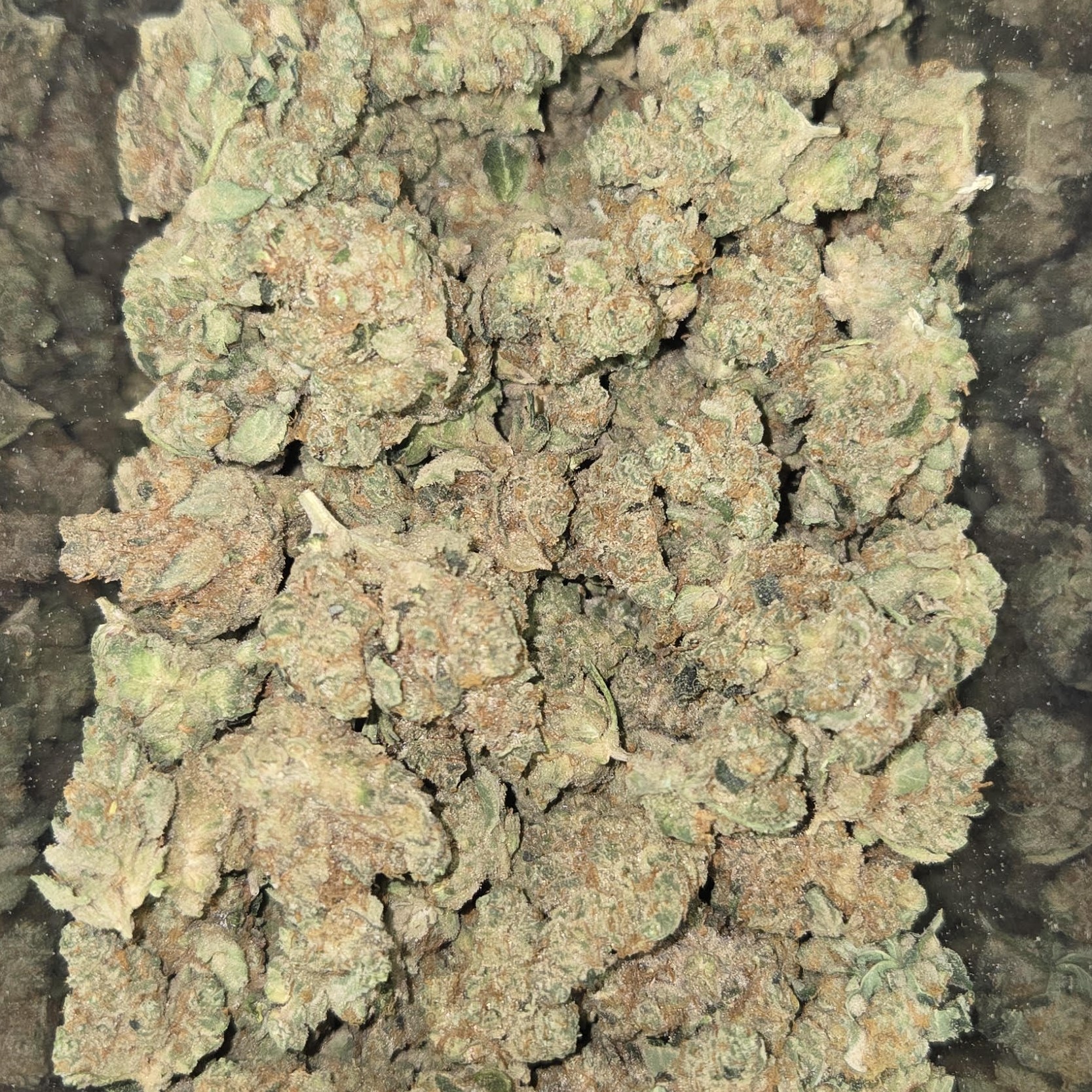 Photograph of product: Fire Tier Deli - Modified Macberry Moonshine - 1g