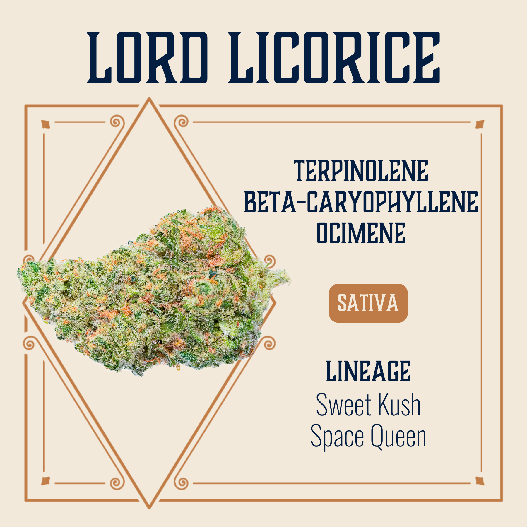 Photograph of product: Lord Licorice Flower | 3.5g