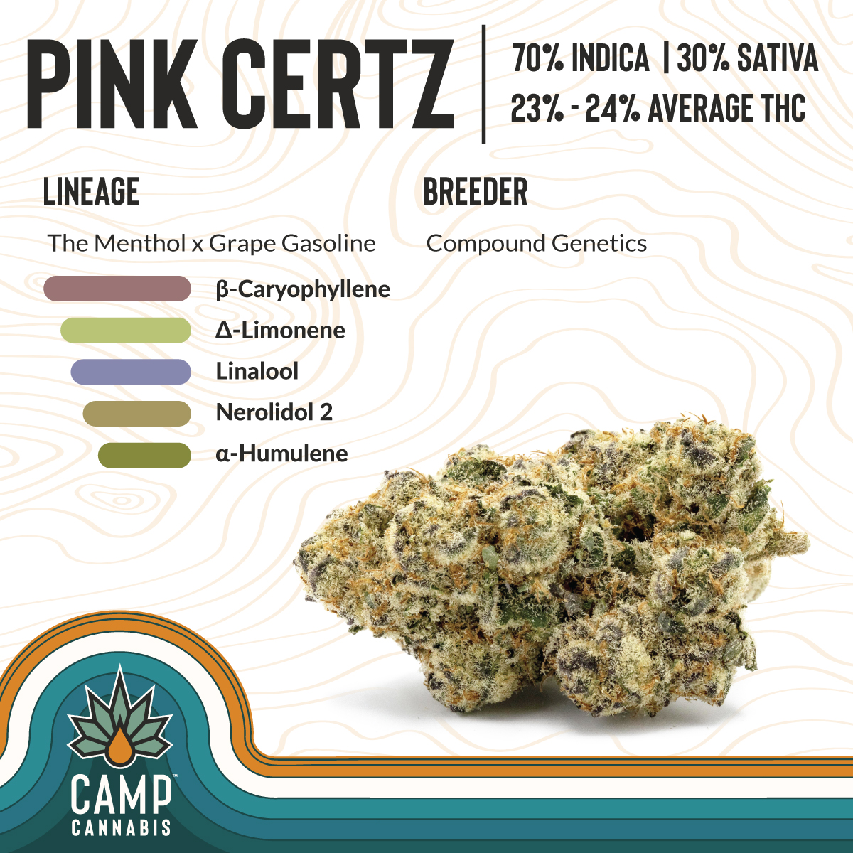 Photograph of product: CAMP: Flower | Pink Certz - 3.5g