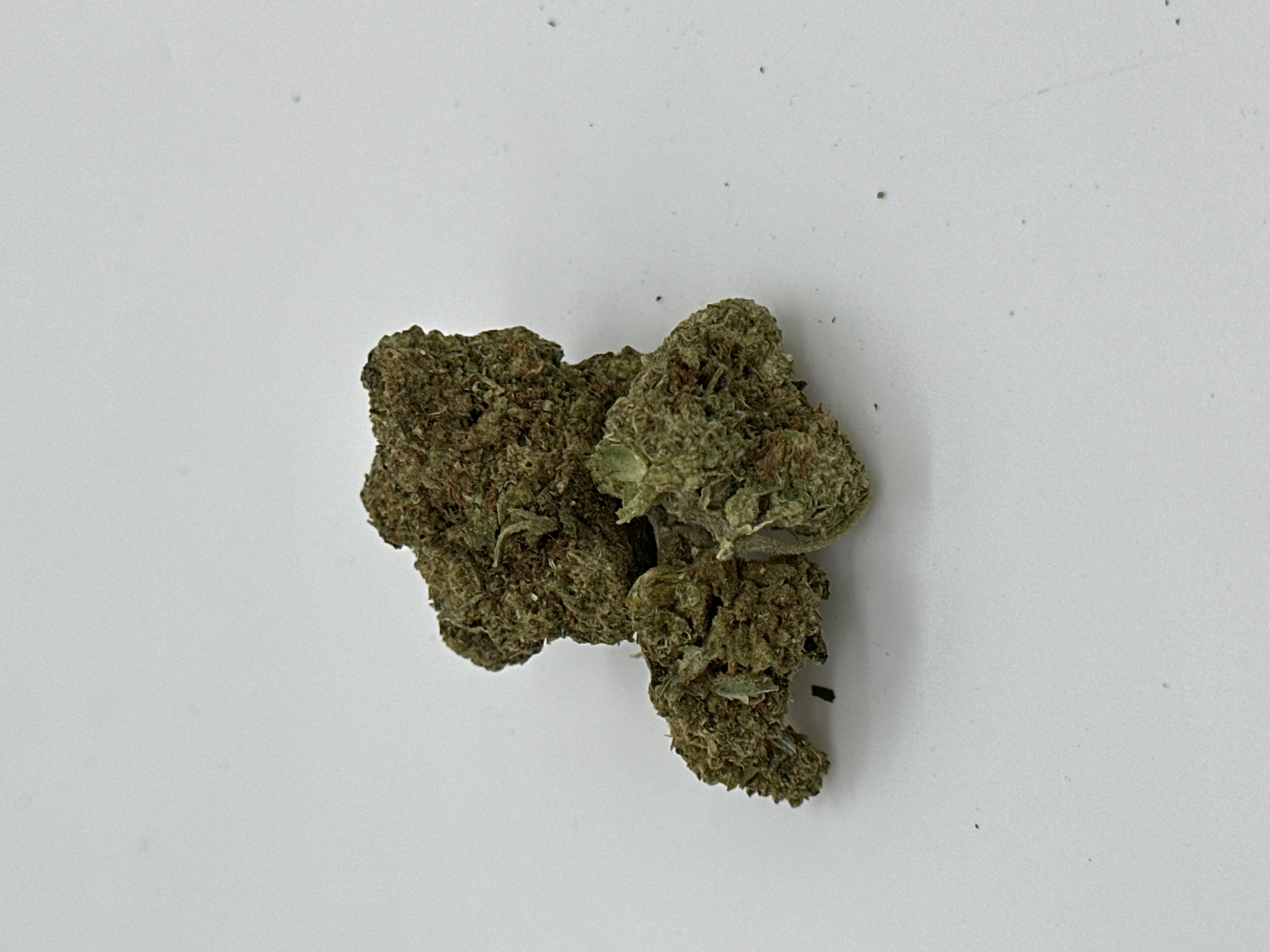 Photograph of product: $40 Oz Shelf Black Runtz - 28g